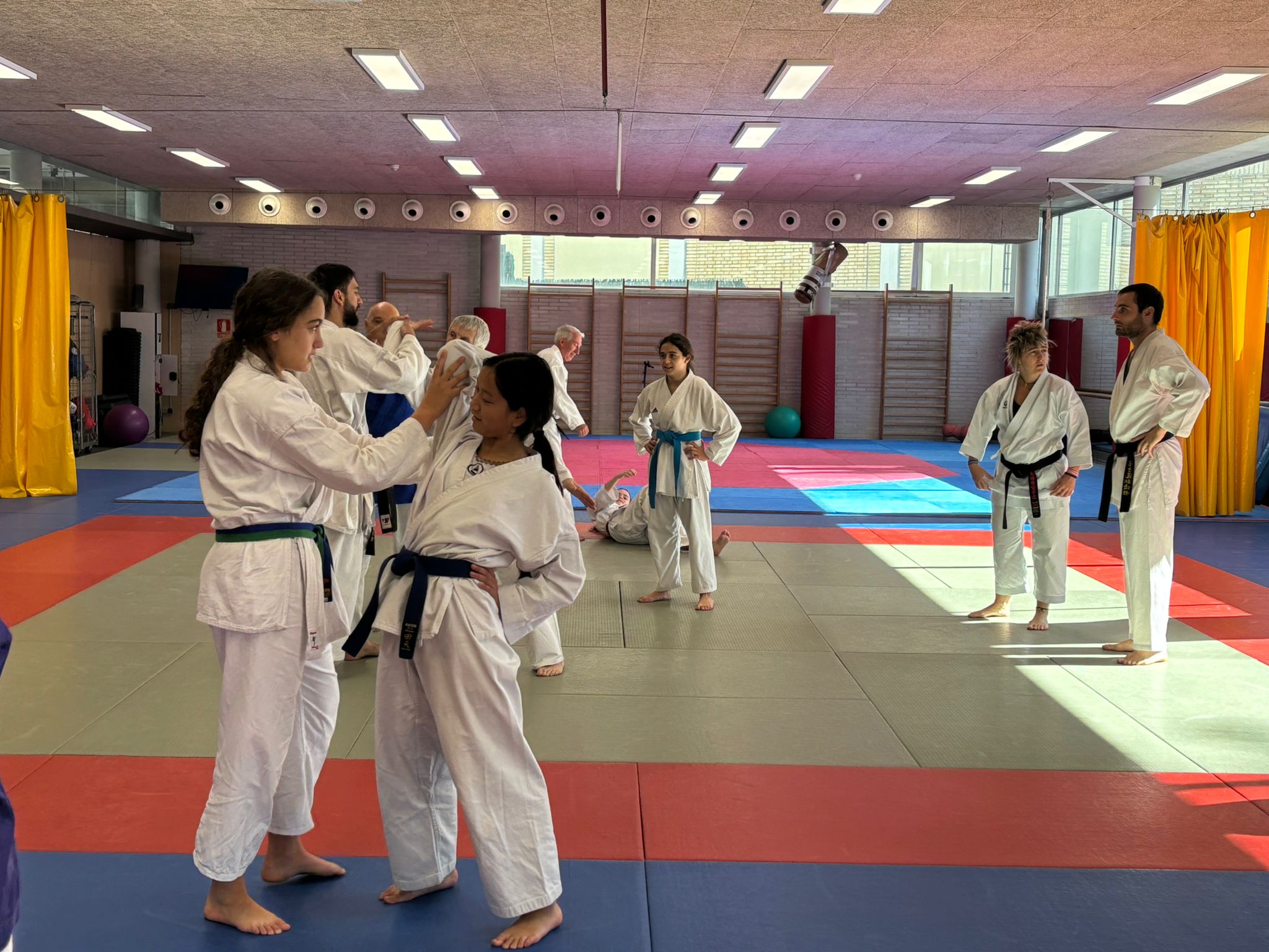 Celebrado el 2º curso de Goshin-autodefensa